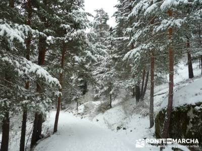 Ruta arroyo de la Chorranca; senderos españa;tarjeta federativa de montaña 